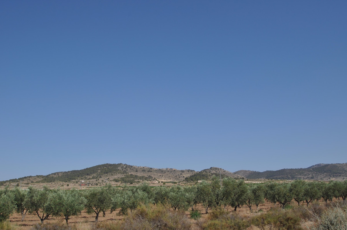 Se vende Terreno Rustico  en Costa Blanca, Alicante, España