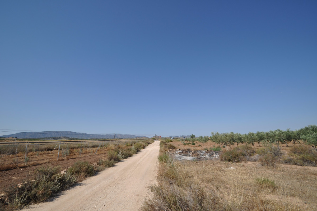 Se vende Terreno Rustico  en Costa Blanca, Alicante, España