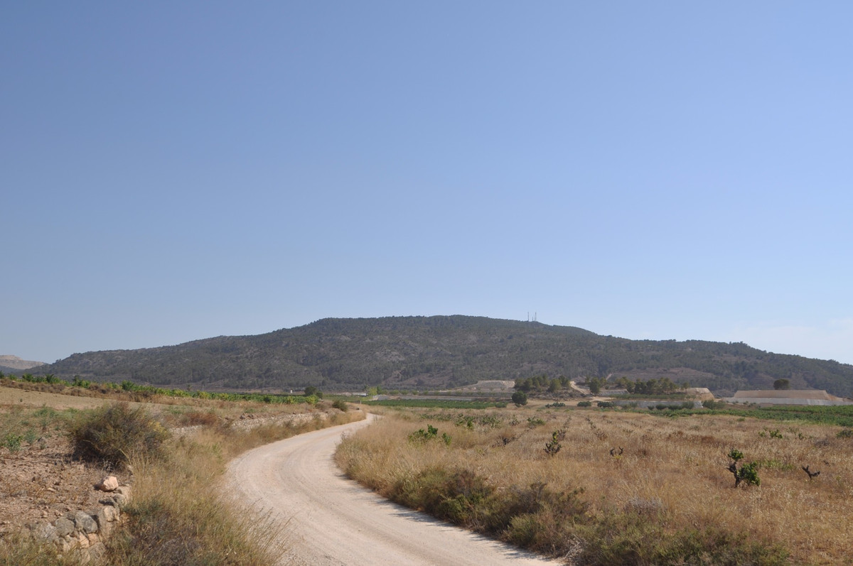Se vende Terreno Rustico  en Costa Blanca, Alicante, España
