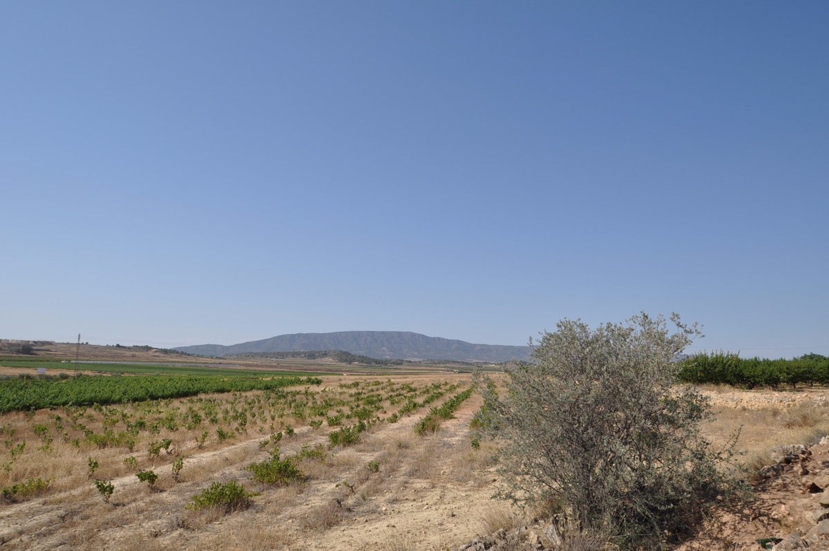 Se vende Terreno Rustico  en Costa Blanca, Alicante, España