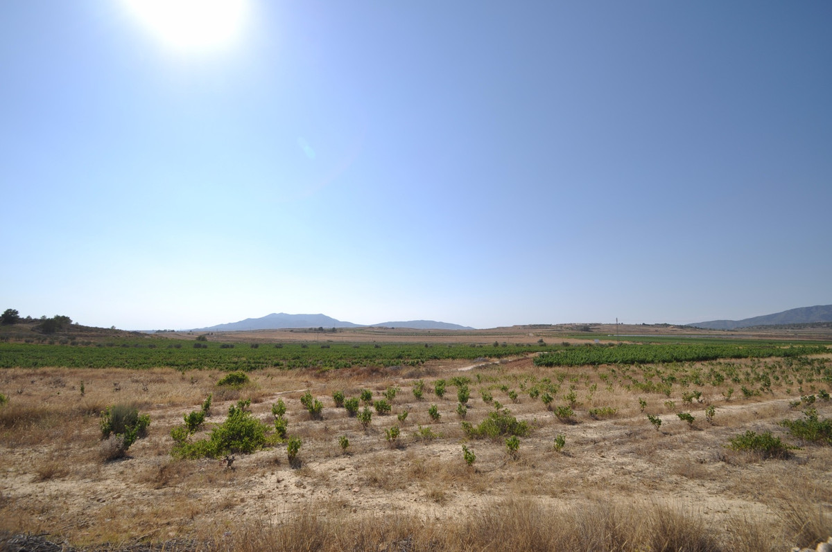 Se vende Terreno Rustico  en Costa Blanca, Alicante, España