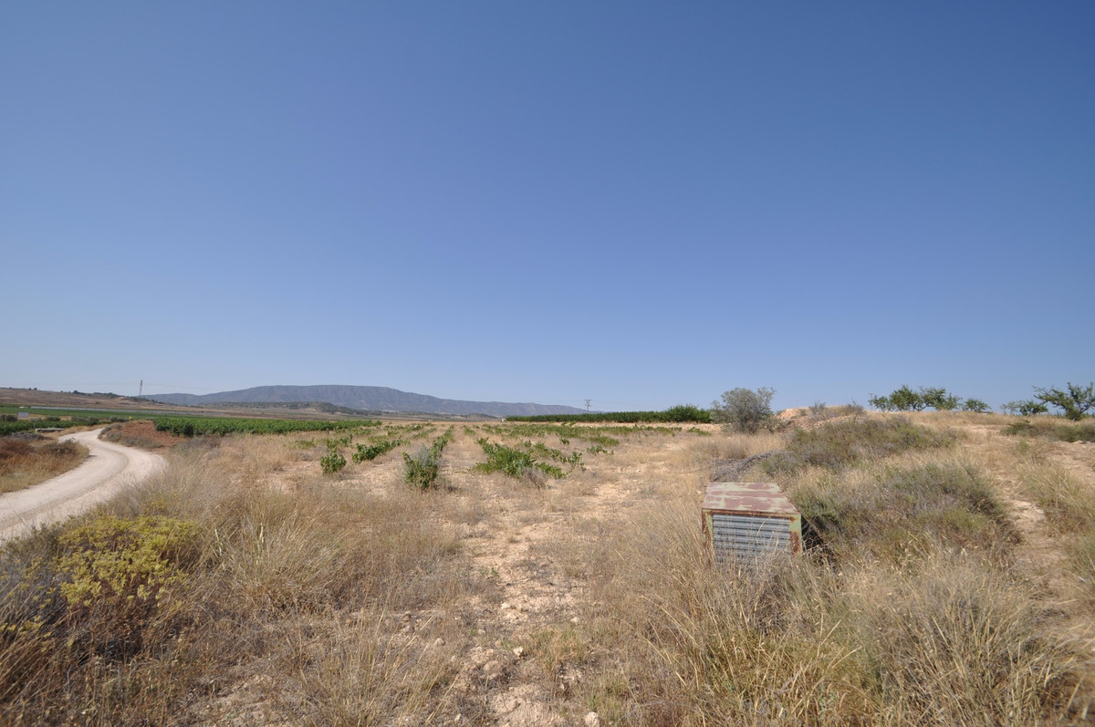 Se vende Terreno Rustico  en Costa Blanca, Alicante, España