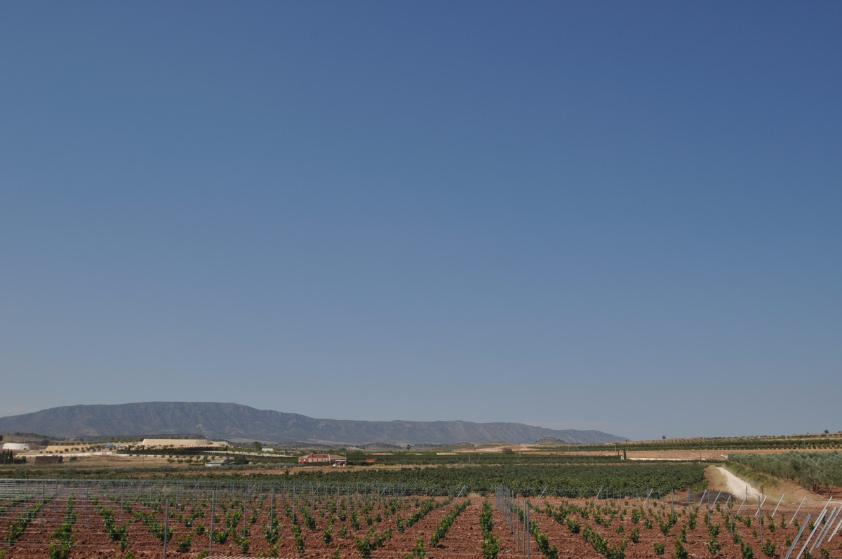 Se vende Terreno Rustico  en Costa Blanca, Alicante, España