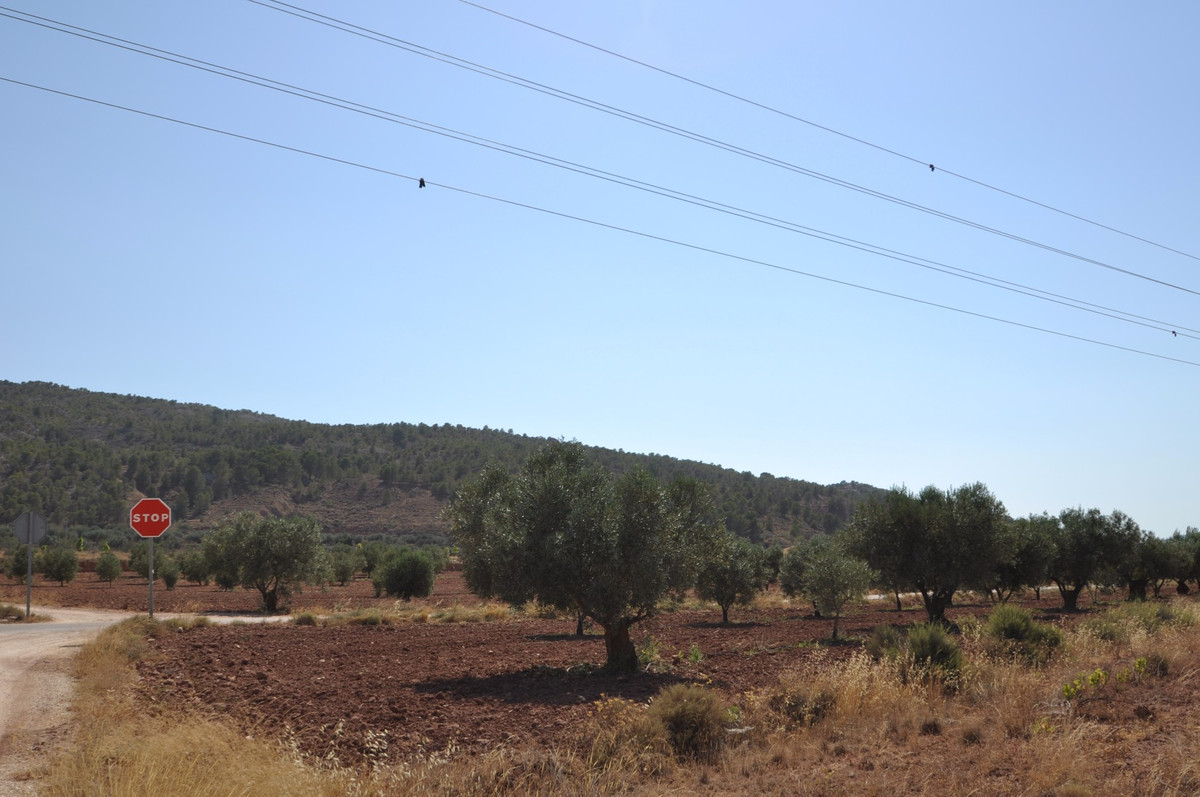 Se vende Terreno Rustico  en Costa Blanca, Alicante, España