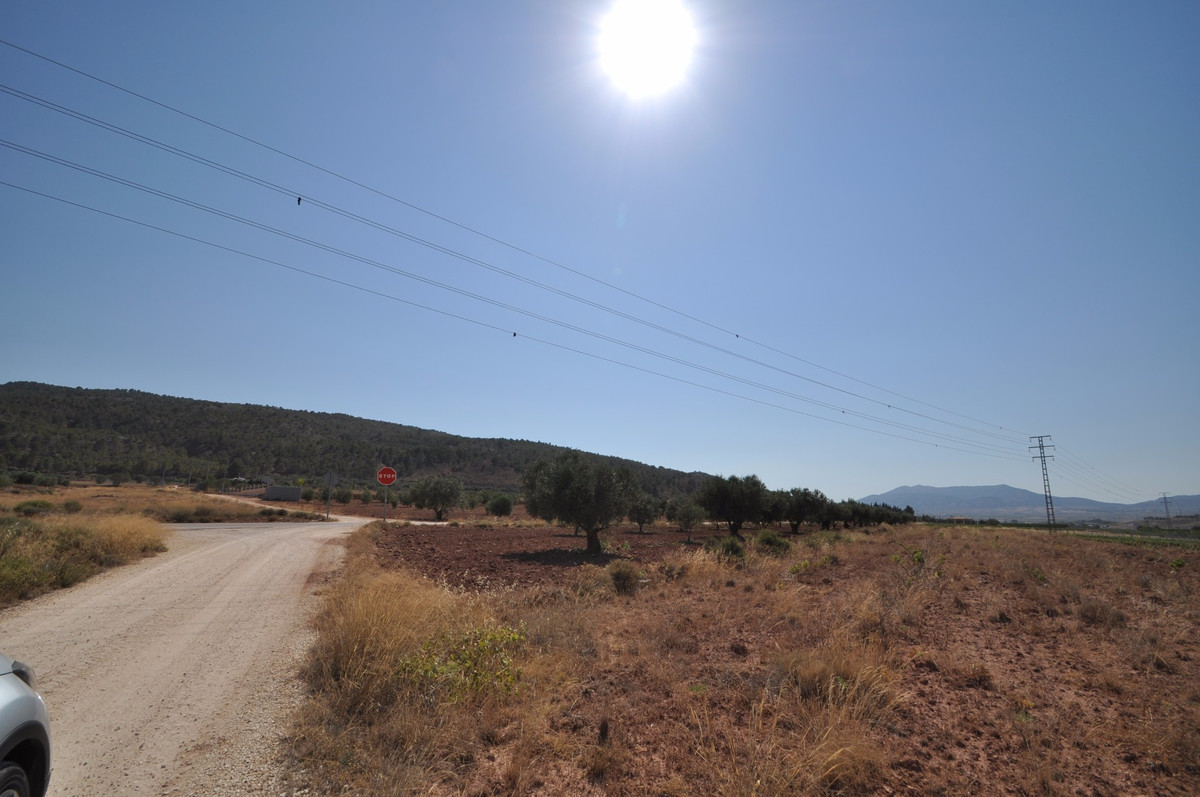 Se vende Terreno Rustico  en Costa Blanca, Alicante, España