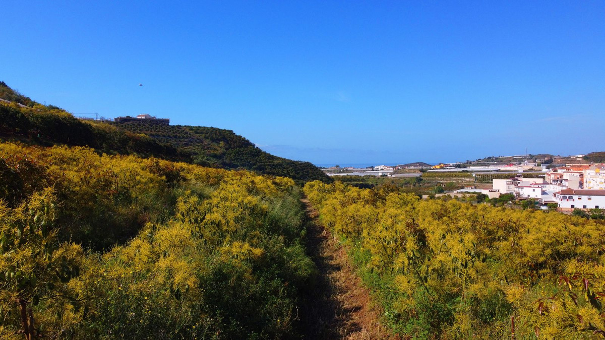 1 Bed Townhouse for sale in Algarrobo Costa Del Sol East, Málaga, Spain