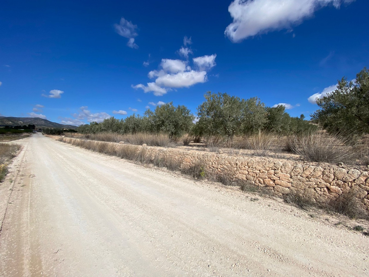 Se vende Terreno Rustico  en Costa Blanca, Alicante, España
