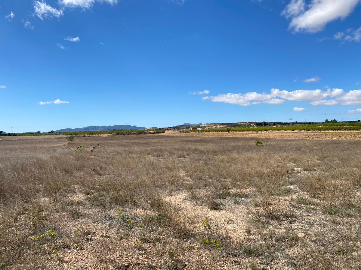 Se vende Terreno Rustico  en Costa Blanca, Alicante, España