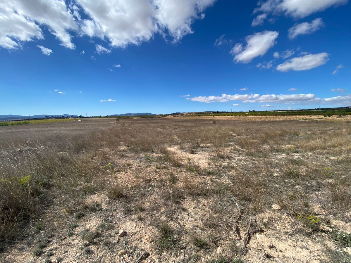Se vende Terreno Rustico  en Costa Blanca, Alicante, España
