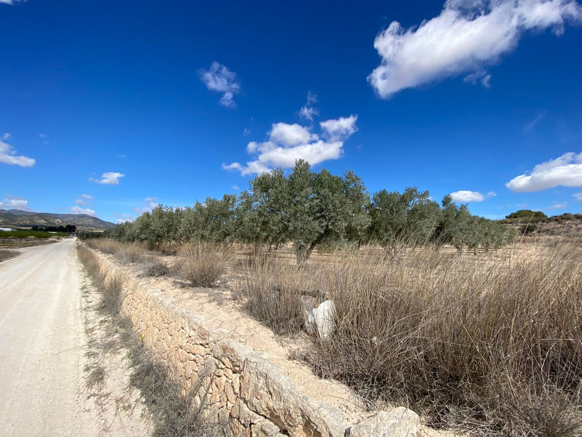 Se vende Terreno Rustico  en Costa Blanca, Alicante, España