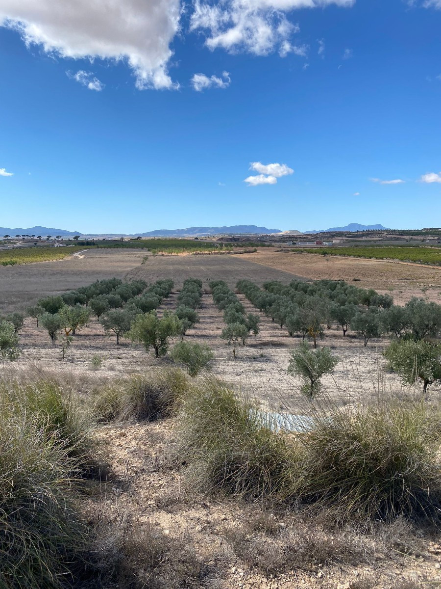 Se vende Terreno Rustico  en Costa Blanca, Alicante, España