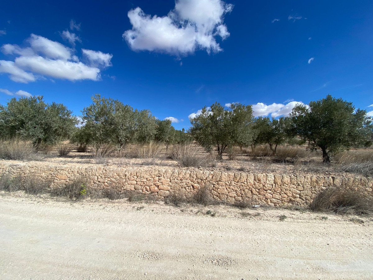 Se vende Terreno Rustico  en Costa Blanca, Alicante, España