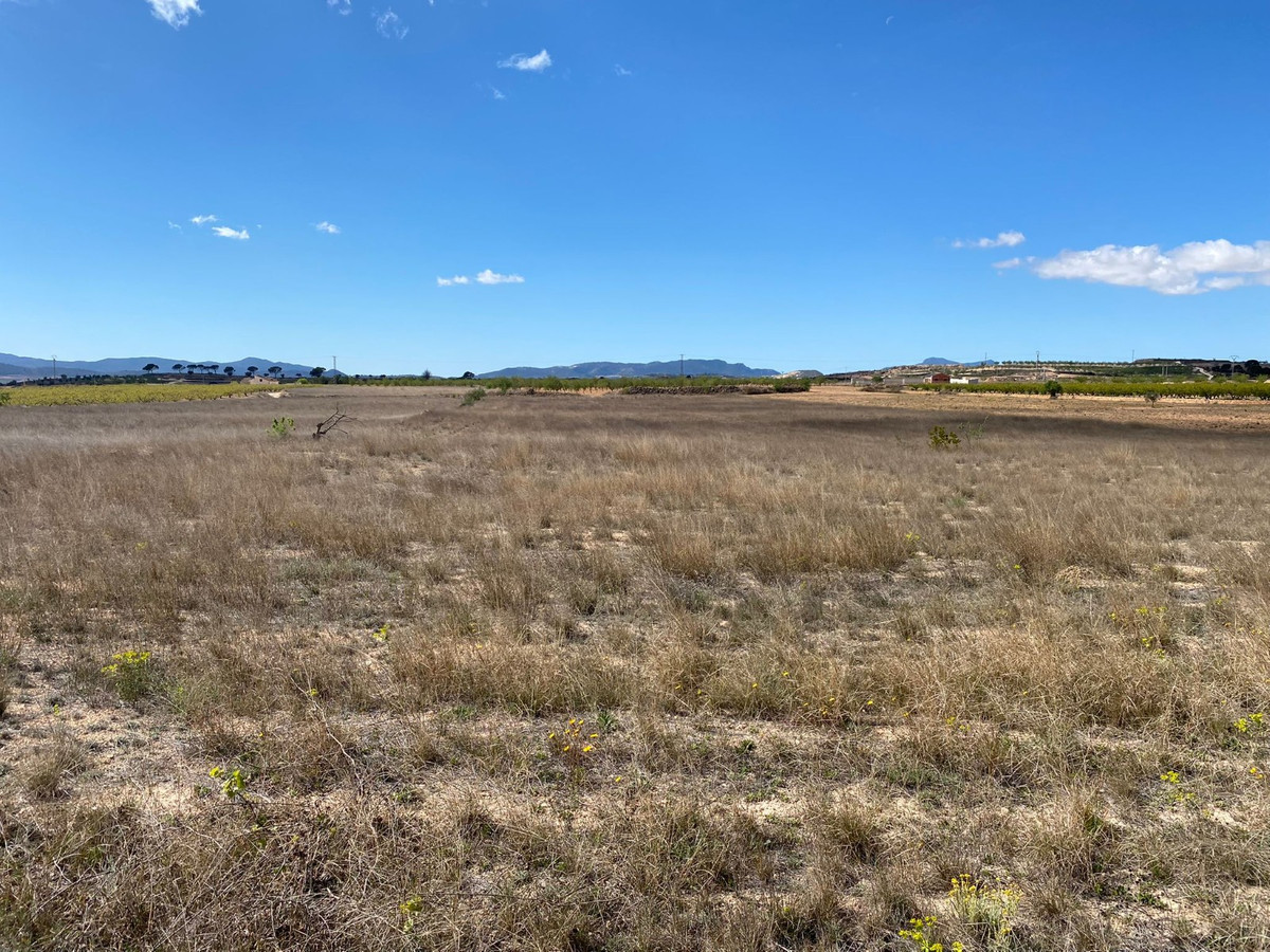 Se vende Terreno Rustico  en Costa Blanca, Alicante, España