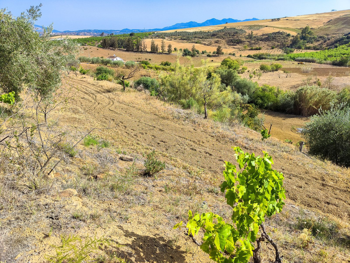 Se vende Terreno Rustico  en Costa Del Sol, Málaga, España