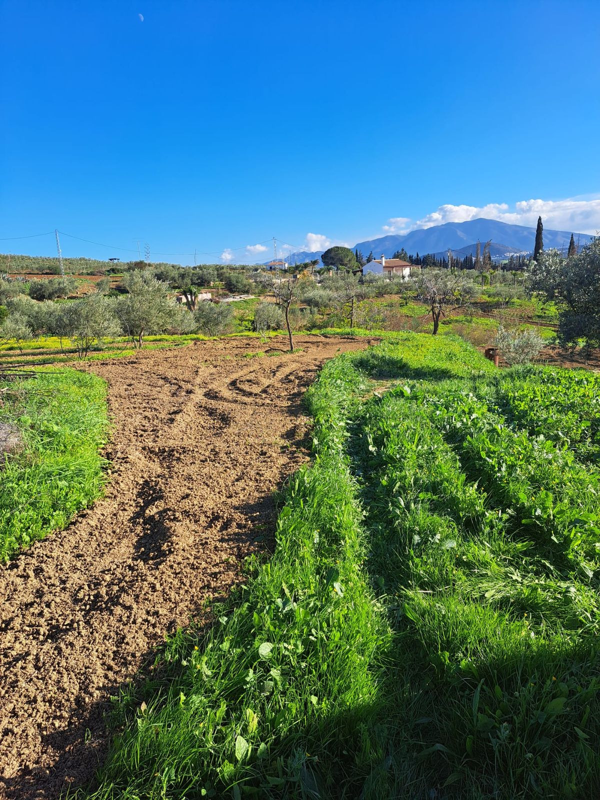 Se vende Terreno Rustico  en Costa Del Sol, Málaga, España
