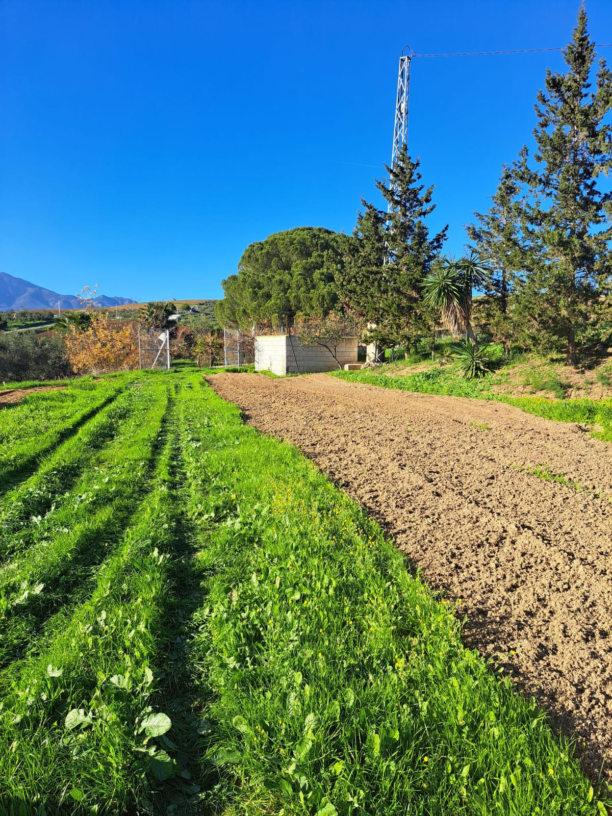 Se vende Terreno Rustico  en Costa Del Sol, Málaga, España