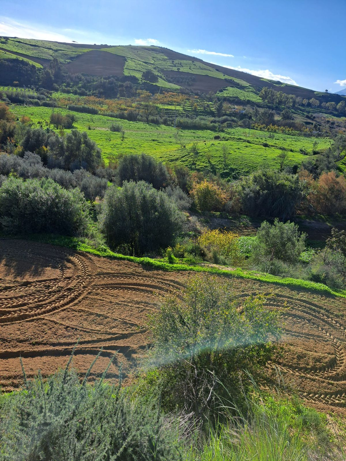 Se vende Terreno Rustico  en Costa Del Sol, Málaga, España