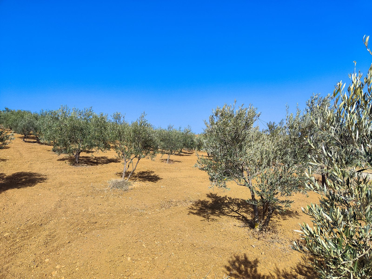 Se vende Terreno Rustico  en Costa Del Sol, Málaga, España