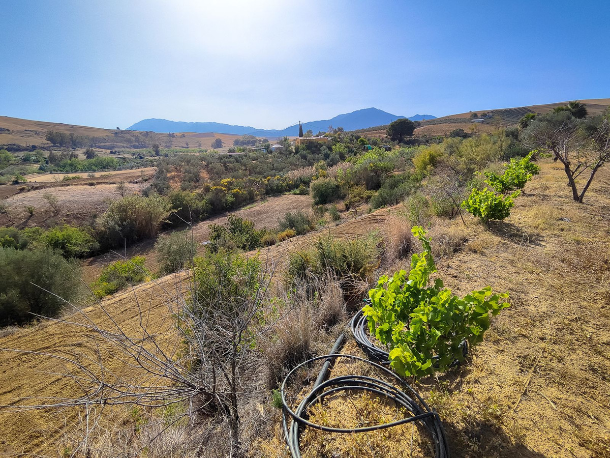 Se vende Terreno Rustico  en Costa Del Sol, Málaga, España