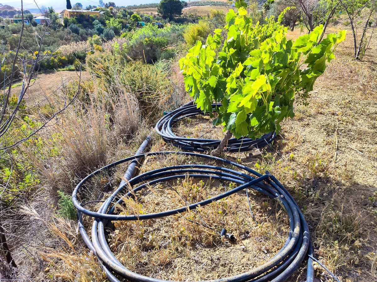 Se vende Terreno Rustico  en Costa Del Sol, Málaga, España
