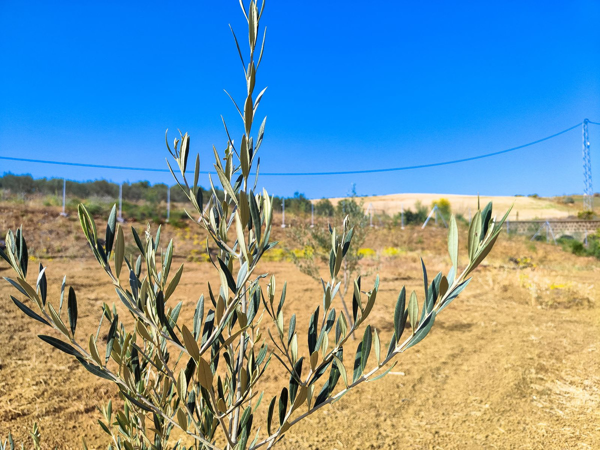 Se vende Terreno Rustico  en Costa Del Sol, Málaga, España