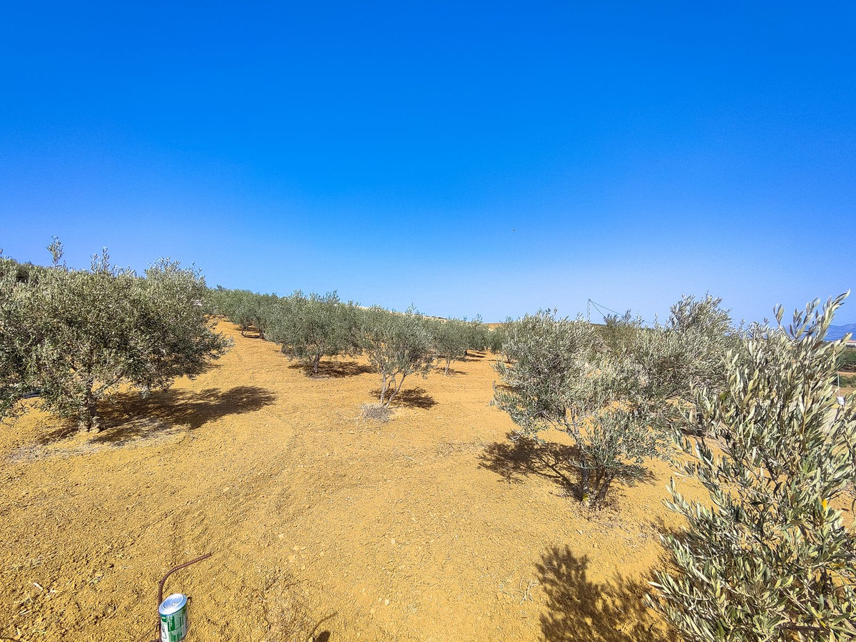 Se vende Terreno Rustico  en Costa Del Sol, Málaga, España