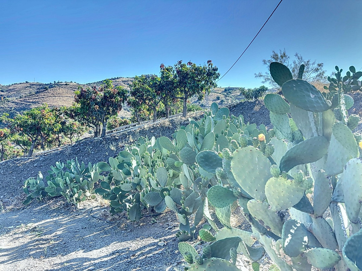 Se vende Finca - Cortijo de 1 dormitorios en Costa Del Sol East, Málaga, España
