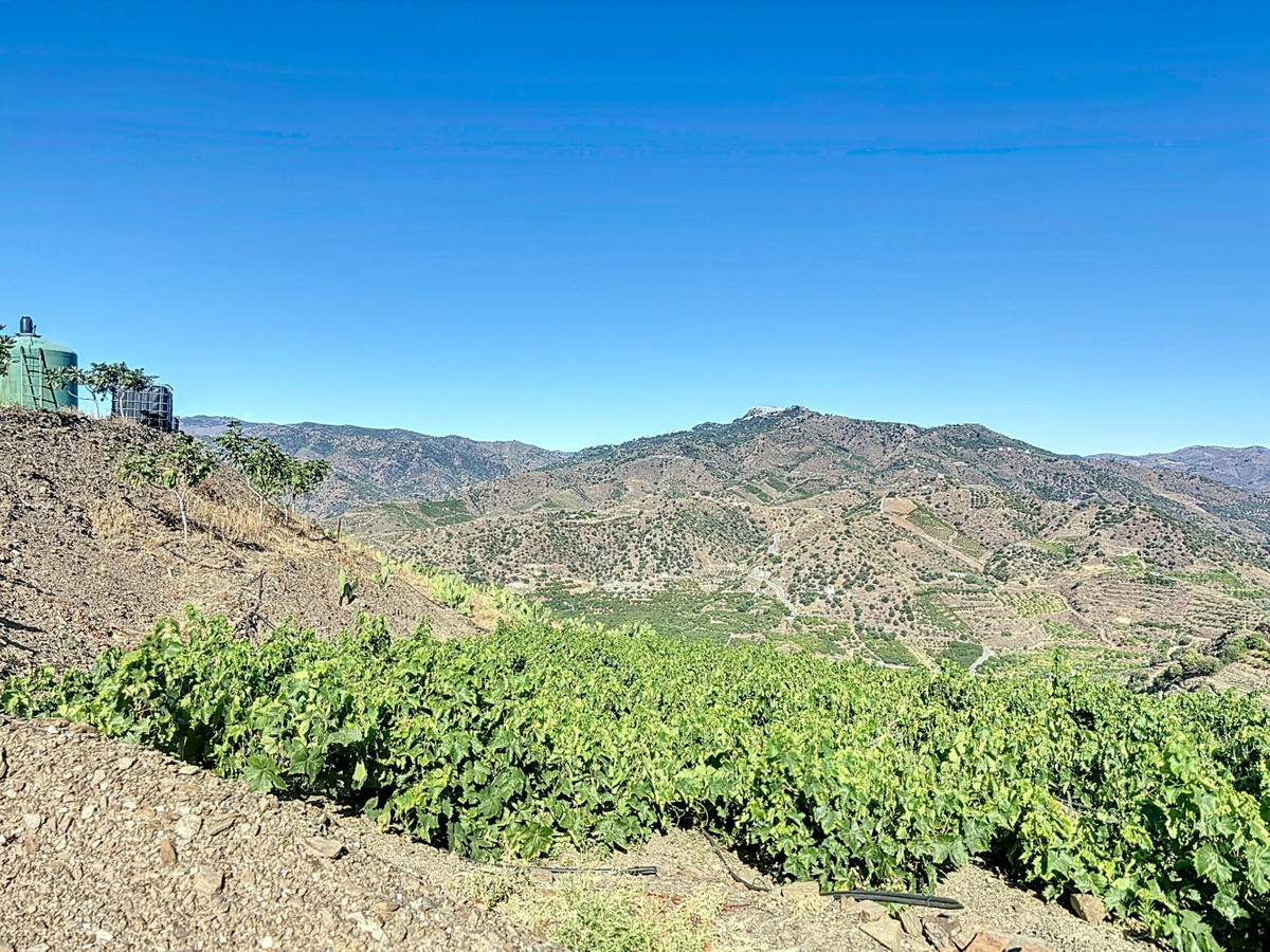 Se vende Finca - Cortijo de 1 dormitorios en Costa Del Sol East, Málaga, España