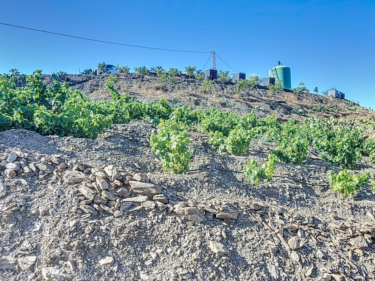 Se vende Finca - Cortijo de 1 dormitorios en Costa Del Sol East, Málaga, España