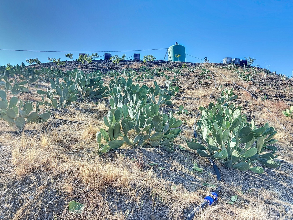 Se vende Finca - Cortijo de 1 dormitorios en Costa Del Sol East, Málaga, España