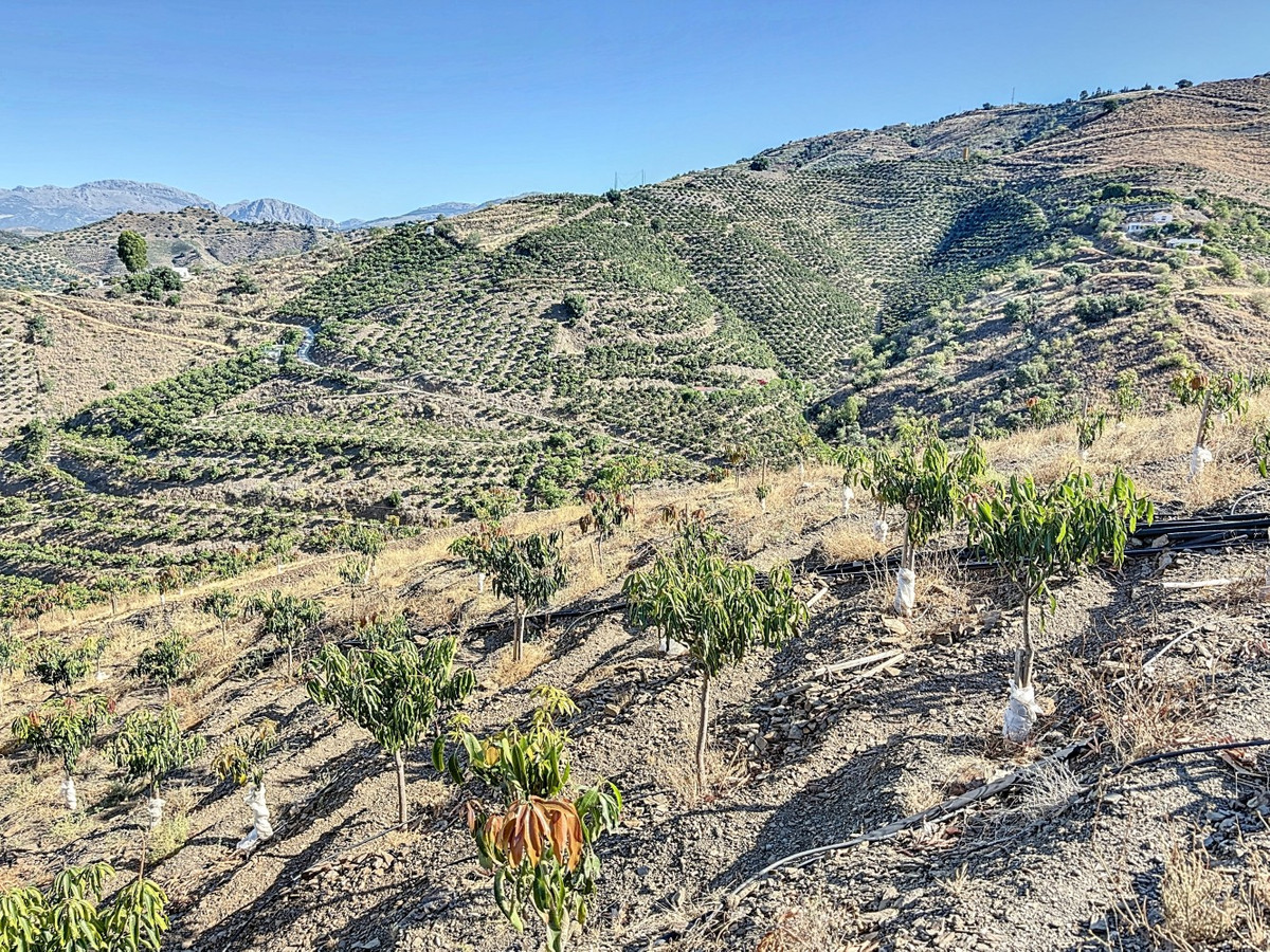 Se vende Finca - Cortijo de 1 dormitorios en Costa Del Sol East, Málaga, España