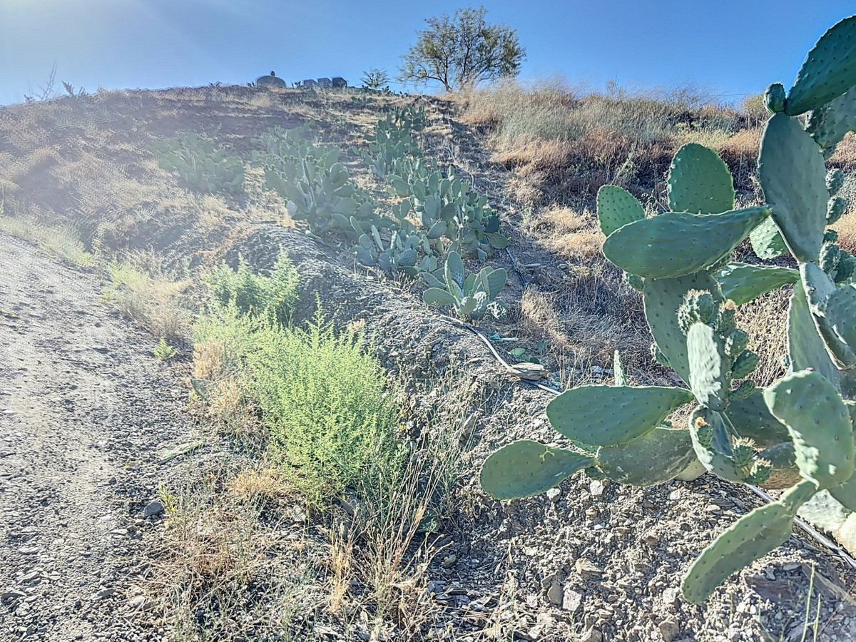 Se vende Finca - Cortijo de 1 dormitorios en Costa Del Sol East, Málaga, España