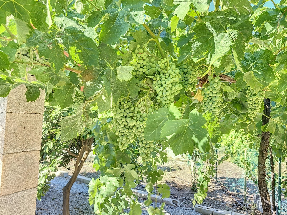 Se vende Finca - Cortijo de 1 dormitorios en Costa Del Sol East, Málaga, España