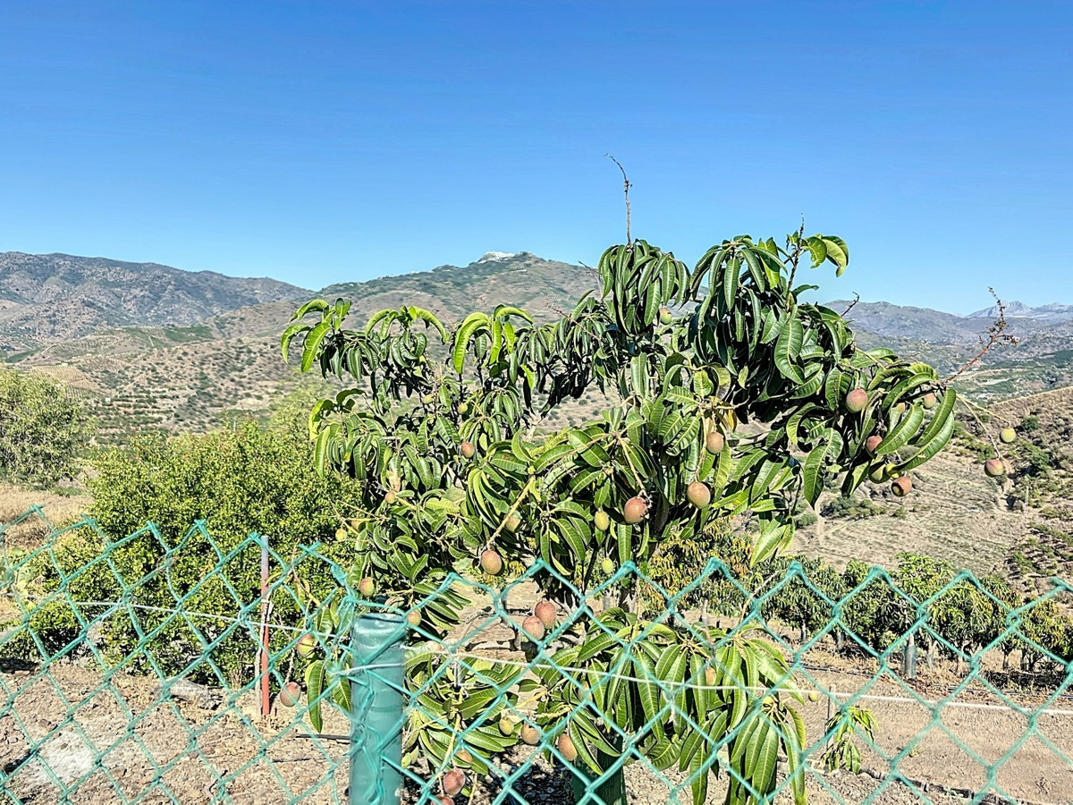 Se vende Finca - Cortijo de 1 dormitorios en Costa Del Sol East, Málaga, España