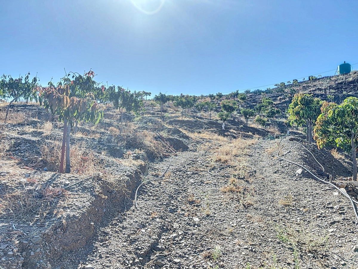 Se vende Finca - Cortijo de 1 dormitorios en Costa Del Sol East, Málaga, España
