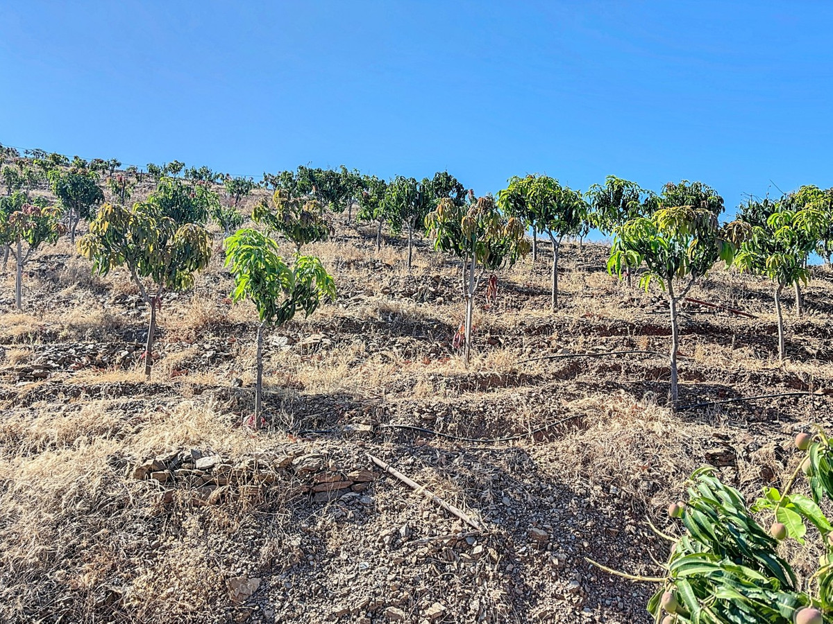 Se vende Finca - Cortijo de 1 dormitorios en Costa Del Sol East, Málaga, España