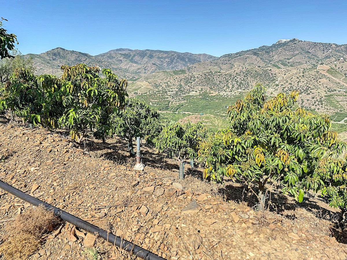 Se vende Finca - Cortijo de 1 dormitorios en Costa Del Sol East, Málaga, España