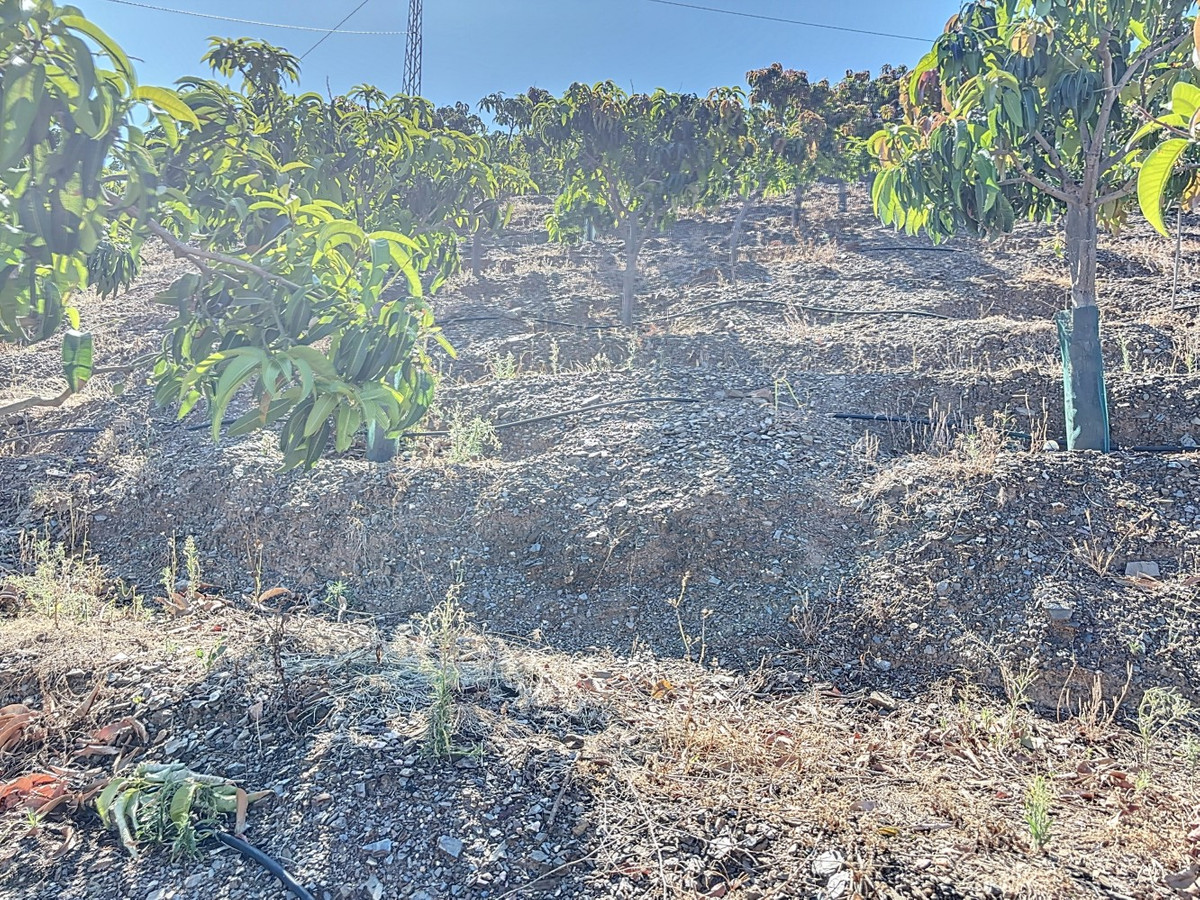 Se vende Finca - Cortijo de 1 dormitorios en Costa Del Sol East, Málaga, España