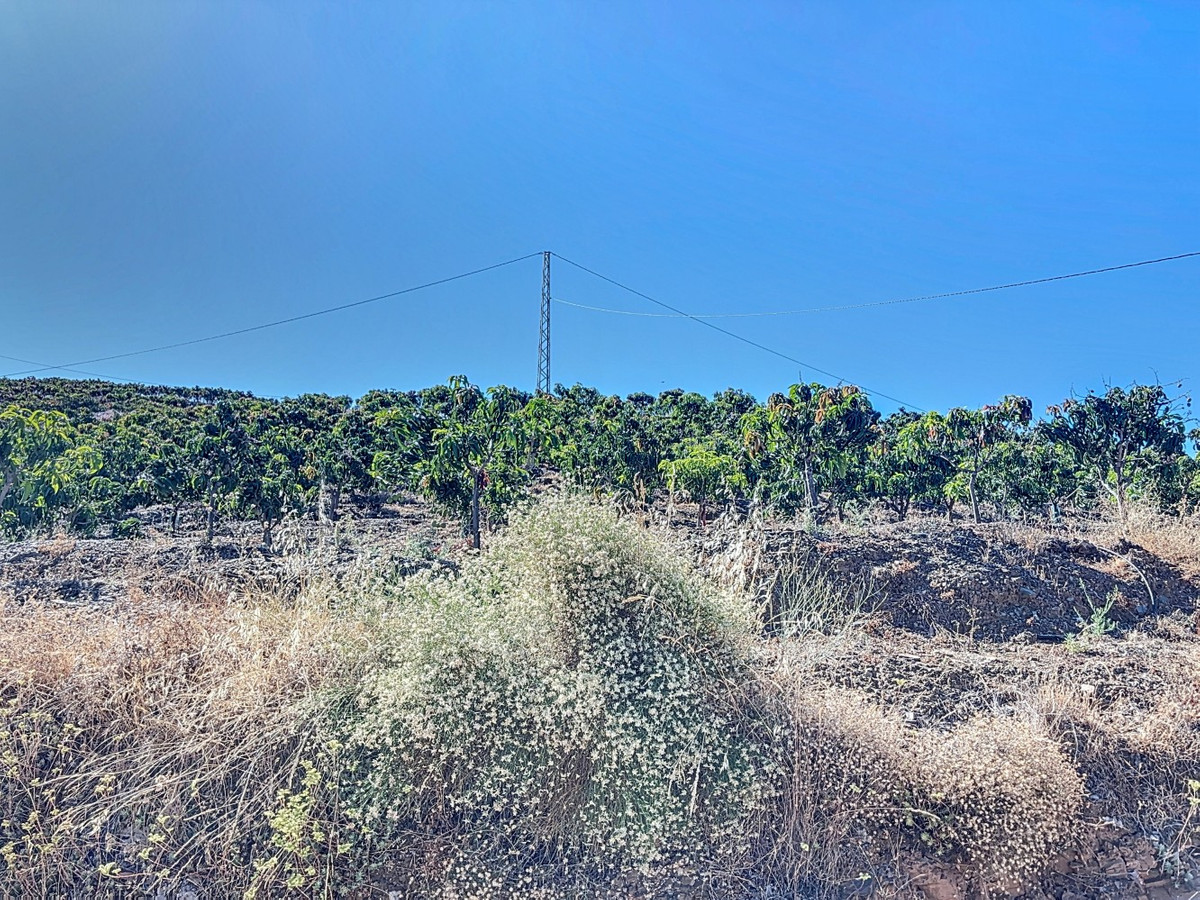 Se vende Finca - Cortijo de 1 dormitorios en Costa Del Sol East, Málaga, España