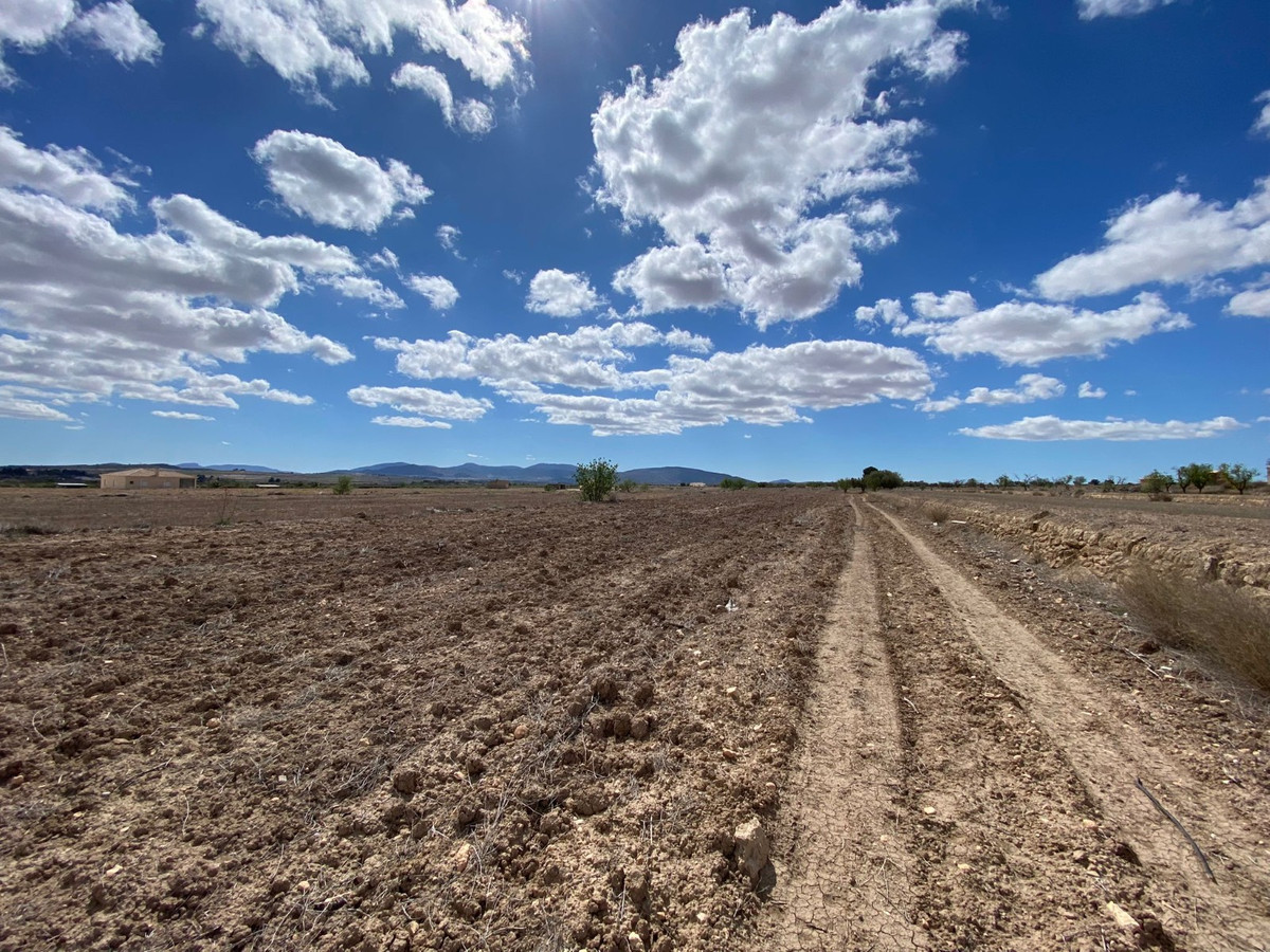 Se vende Terreno Rustico  en Costa Blanca, Alicante, España
