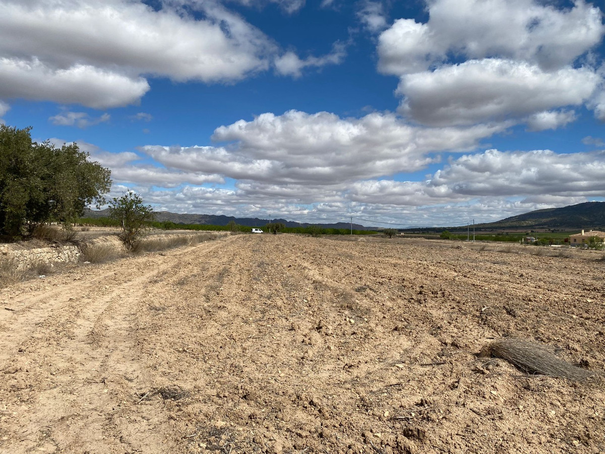 Se vende Terreno Rustico  en Costa Blanca, Alicante, España