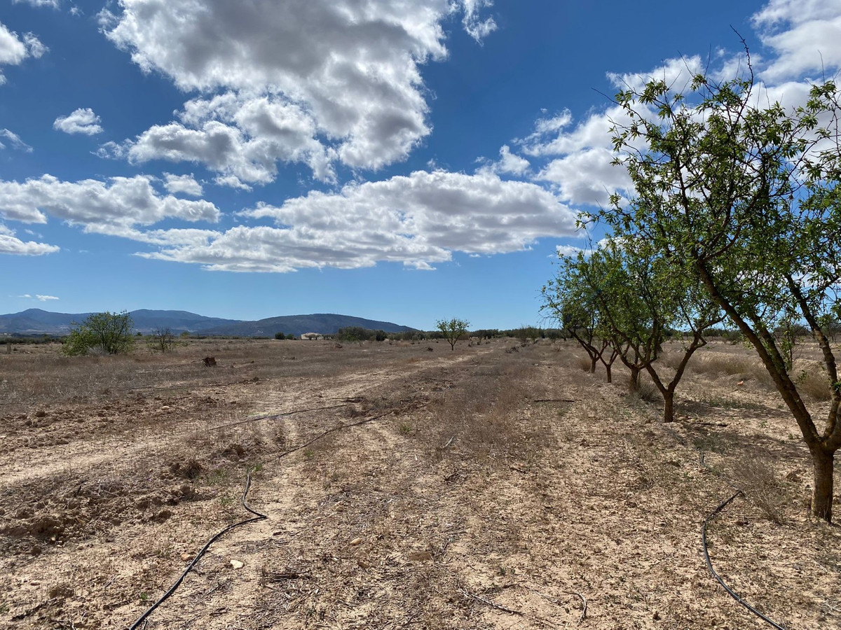 Se vende Terreno Rustico  en Costa Blanca, Alicante, España