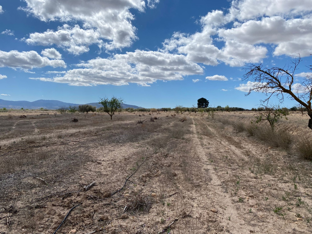 Se vende Terreno Rustico  en Costa Blanca, Alicante, España
