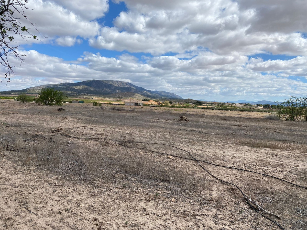 Se vende Terreno Rustico  en Costa Blanca, Alicante, España