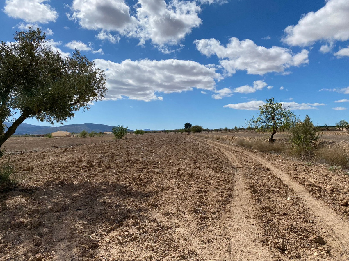 Se vende Terreno Rustico  en Costa Blanca, Alicante, España