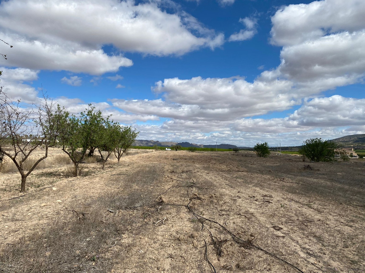Se vende Terreno Rustico  en Costa Blanca, Alicante, España