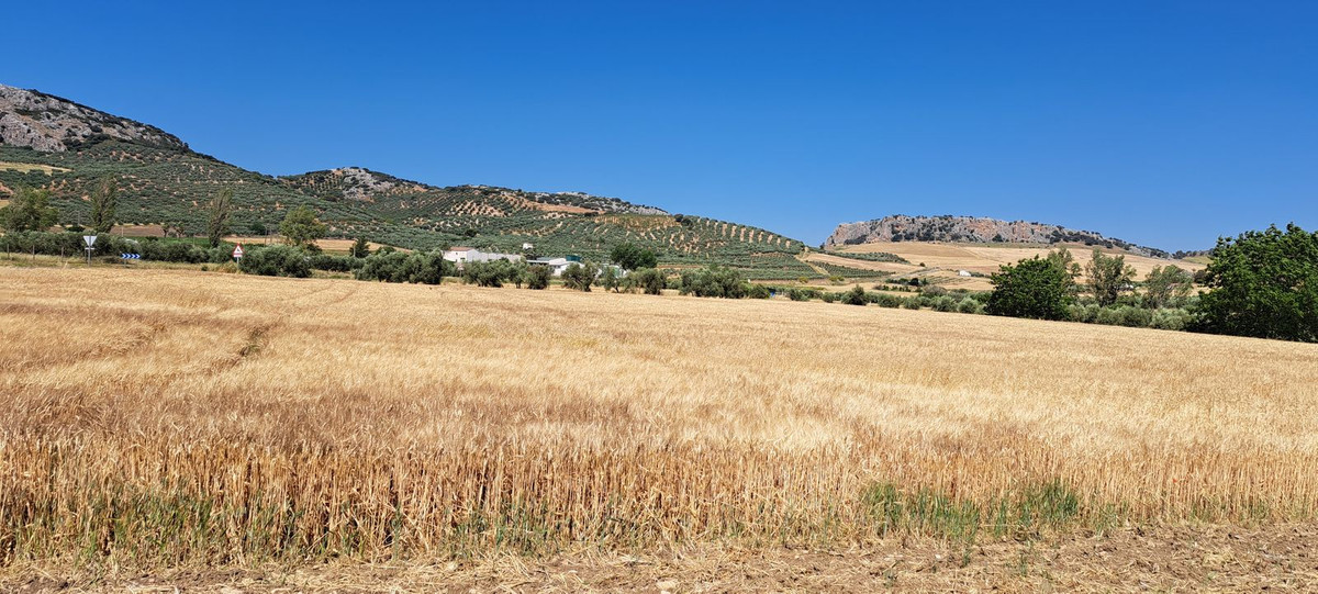 Se vende Terreno Urbano  en Costa Del Sol, Málaga, España