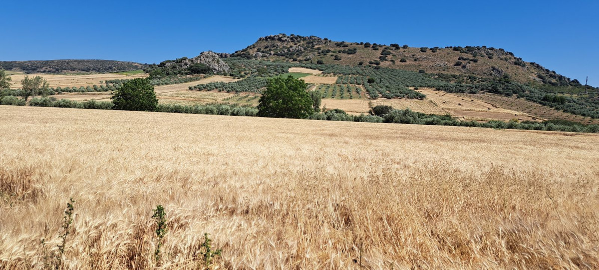 Se vende Terreno Urbano  en Costa Del Sol, Málaga, España