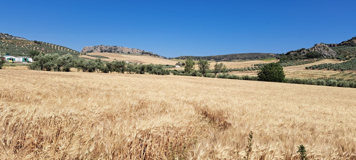 Se vende Terreno Urbano  en Costa Del Sol, Málaga, España