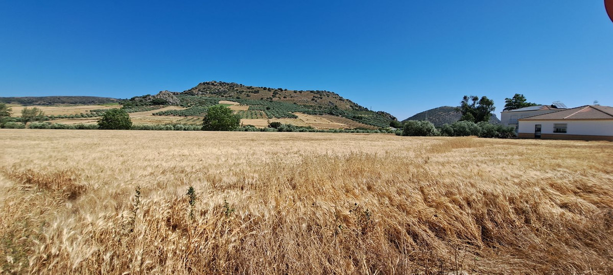 Se vende Terreno Urbano  en Costa Del Sol, Málaga, España